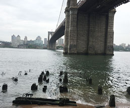 South Seaport walkway under the Brooklyn Bridge