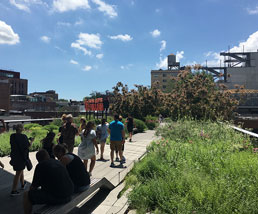 The Highline – NYC’s elevated park