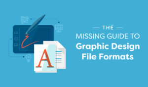 Web Design File Formats Minneapolis