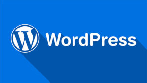 Minneapolis Wordpress Design Terms