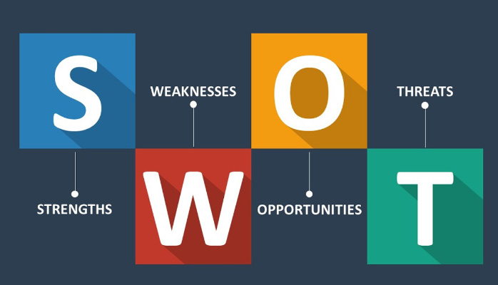 Website SWOT Analysis