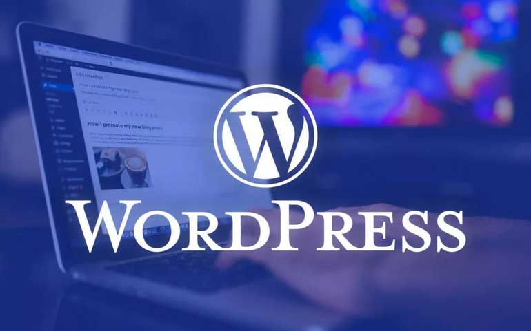 WordPress Web Design Agency in Minneapolis – WordPress Logo